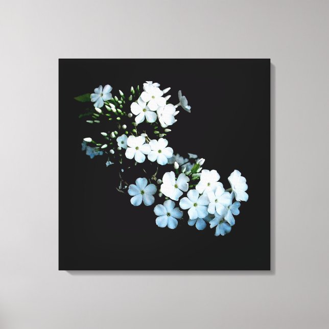 'Jasmine Detail' Lindad Canvastryck (Framsida)