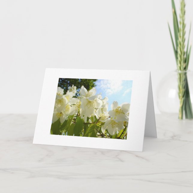 Jasmine Flower Note-kort Kort (Framsida)