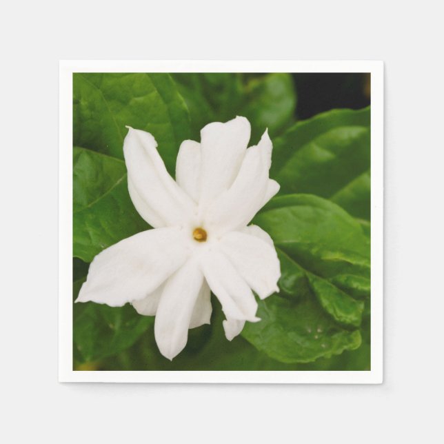 Jasmine Flower Pappersservett (Framsidan)