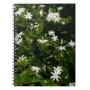 Jasmine Flowers Tropical Blommigt Botanical Anteckningsbok Med Spiral
