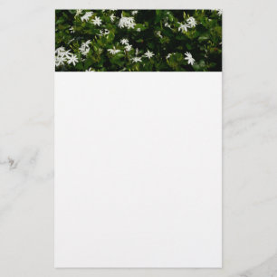 Jasmine Flowers Tropical Blommigt Botanical Brevpapper