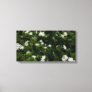 Jasmine Flowers Tropical Blommigt Botanical Canvastryck