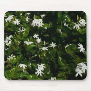 Jasmine Flowers Tropical Blommigt Botanical Musmatta