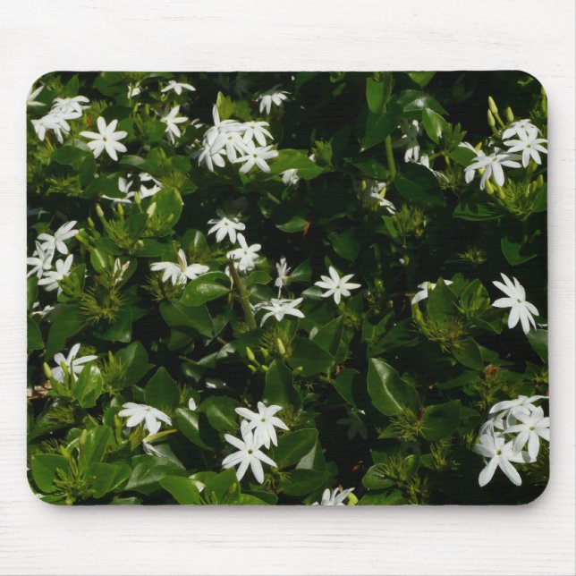 Jasmine Flowers Tropical Blommigt Botanical Musmatta (Framsidan)