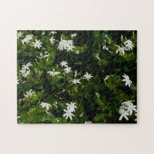 Jasmine Flowers Tropical Blommigt Botanical Pussel