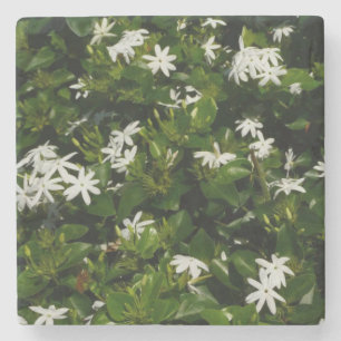 Jasmine Flowers Tropical Blommigt Botanical Stenunderlägg