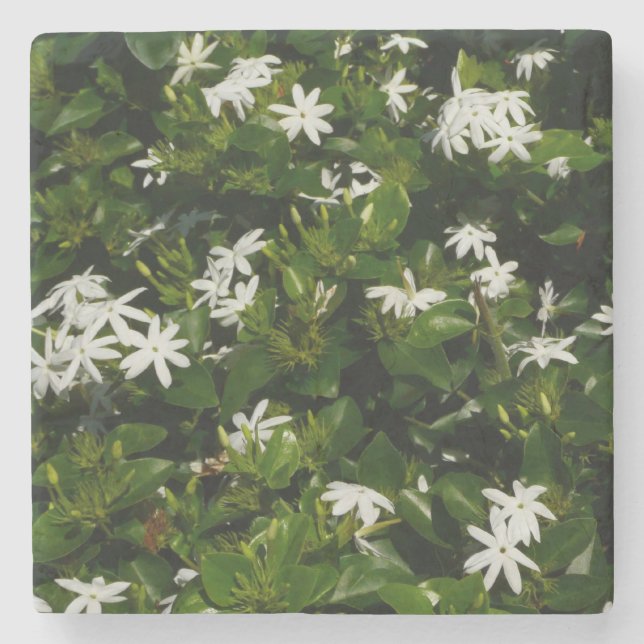 Jasmine Flowers Tropical Blommigt Botanical Stenunderlägg (Framsidan)