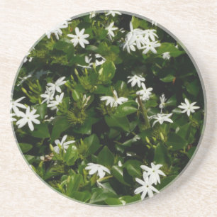 Jasmine Flowers Tropical Blommigt Botanical Underlägg