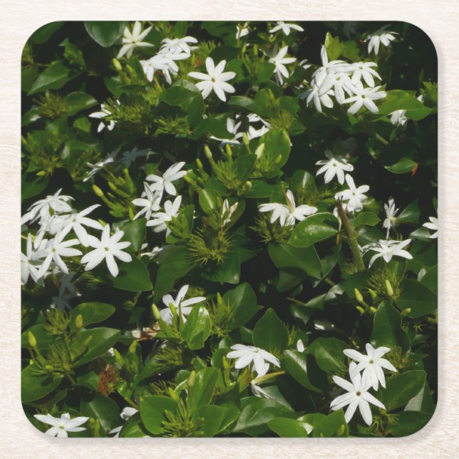 Jasmine Flowers Tropical Blommigt Botanical Underlägg Papper Kvadrat (Framsidan)