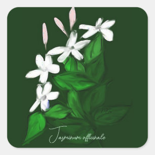 Jasmine Fyrkantigt Klistermärke