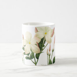 jasmine (Jasminum grandiflorum) från Redouté Kaffemugg