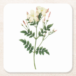 jasmine (Jasminum grandiflorum) från Redouté Underlägg Papper Kvadrat