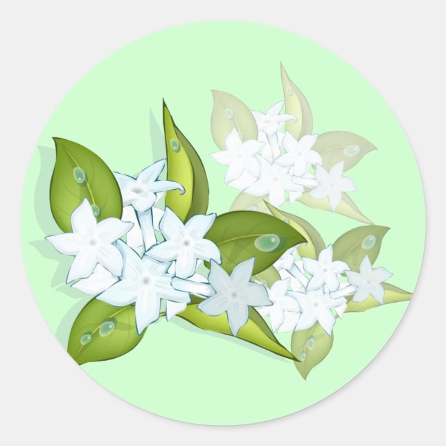 Jasmine-klistermärken Runt Klistermärke (Framsida)