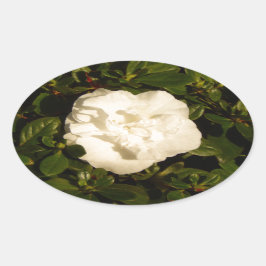 Jasmine Ovalt Klistermärke