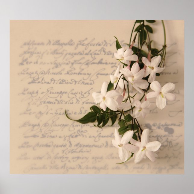 jasmine på den gamla handskriftsskriften poster ko (Framsidan)