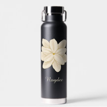 Jasmine Vit Blomma Elegant Namn