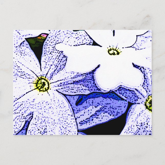 Jasmine Vykort (Framsida)