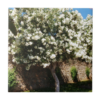 Jasminträd i blom kakelplatta