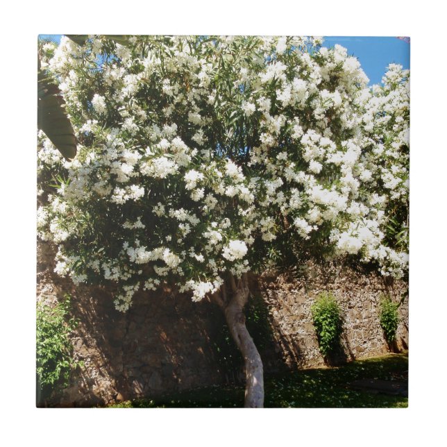 Jasminträd Kakelplatta (Framsidan)