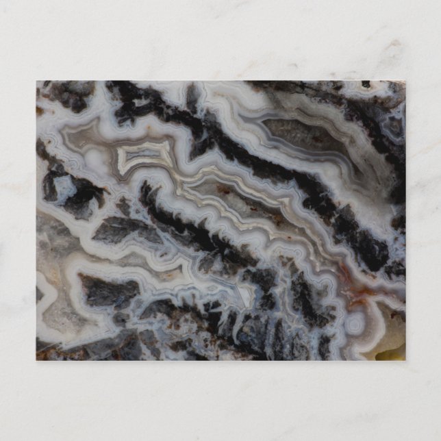 Jasper Agate Blandad skiva Vykort (Framsida)