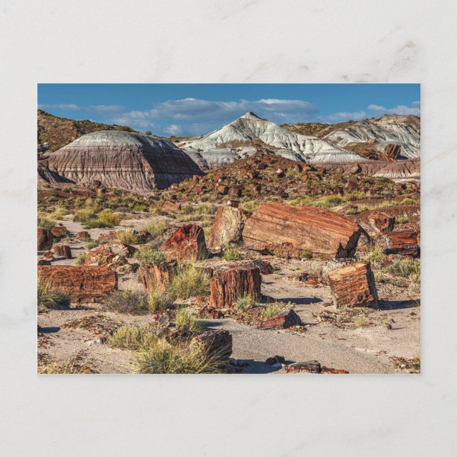 Jasper Forest Vykort (Framsida)