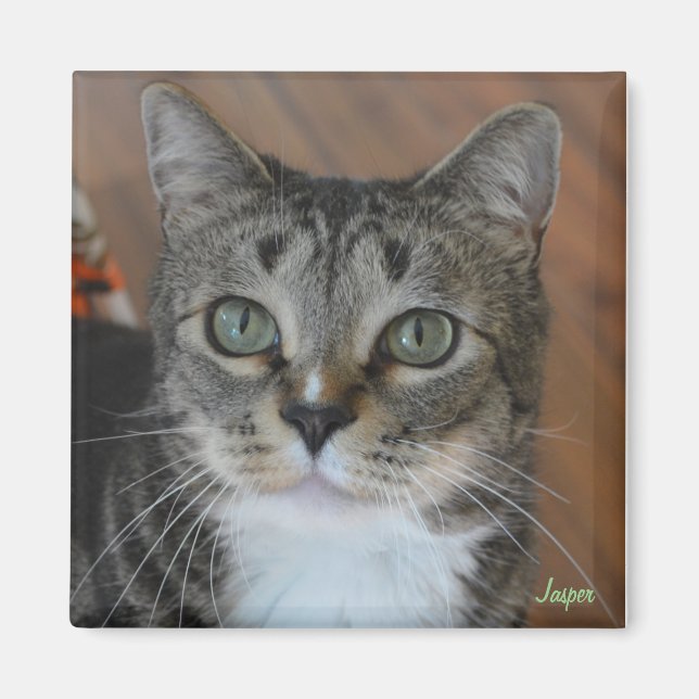 Jasper Magnet (Framsidan)