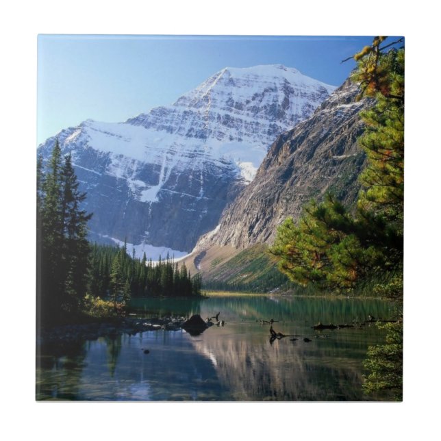 Jasper National Park, Alberta Kakelplatta (Framsidan)