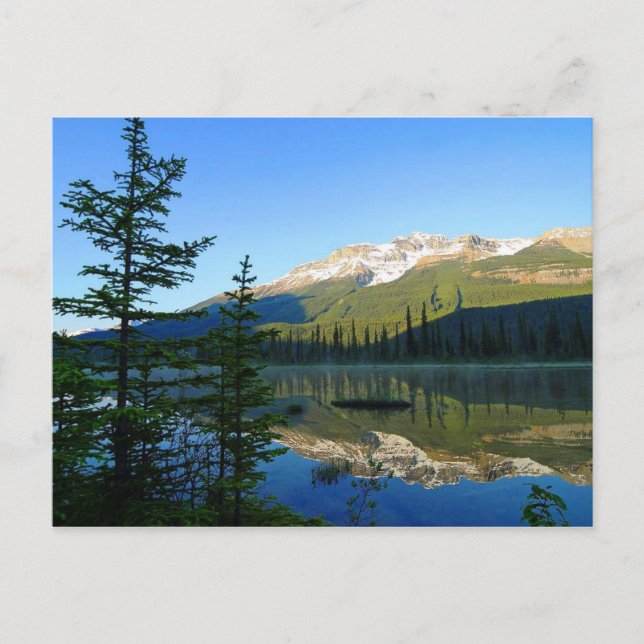 Jasper National Park, Canada Postcard Vykort (Framsida)