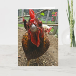 Jasper, Welsommar Hen Note Card Kort