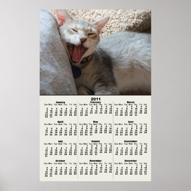 Jasper Yawning Kitten 2011 Calendar Poster (Framsidan)