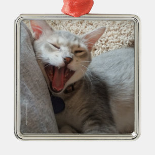 Jasperen som gäspar kattungefotoet, kvadrerar julgransprydnad metall