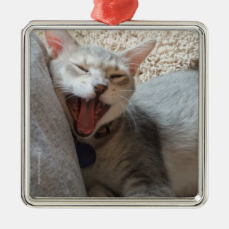 Jasperen som gäspar kattungefotoet, kvadrerar julgransprydnad metall