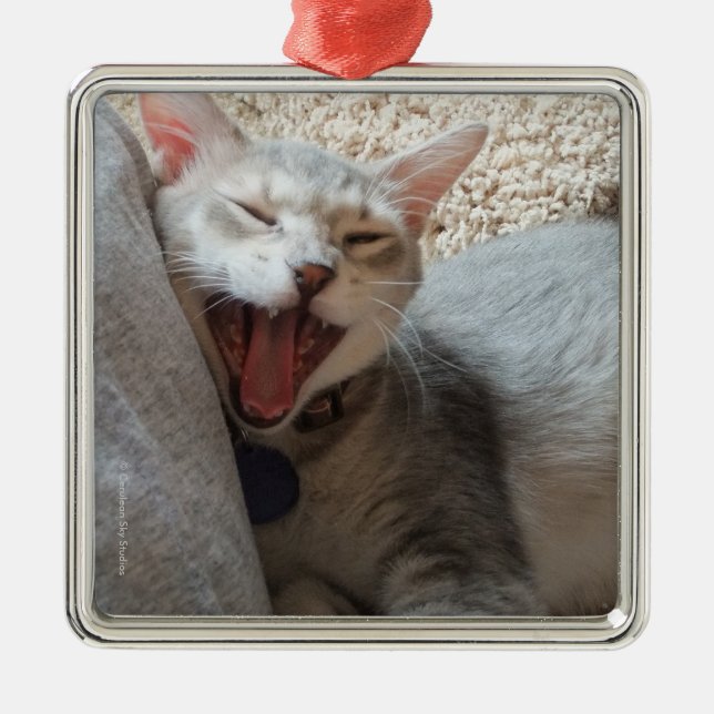 Jasperen som gäspar kattungefotoet, kvadrerar julgransprydnad metall (Framsidan)