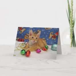 Jaspers Helgdag Decorating (katt/kitten) Helgkort