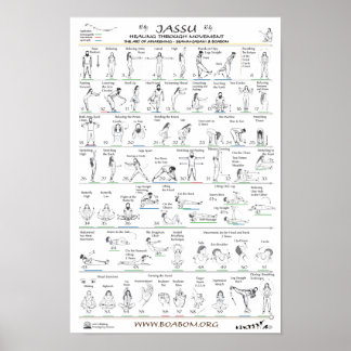 Jassu: Lagning genom rörelse Poster