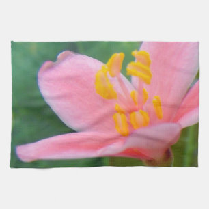 Jatropha Flower Closeup Kökshandduk