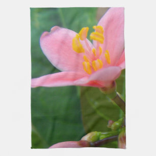 Jatropha Flower Closeup Kökshandduk