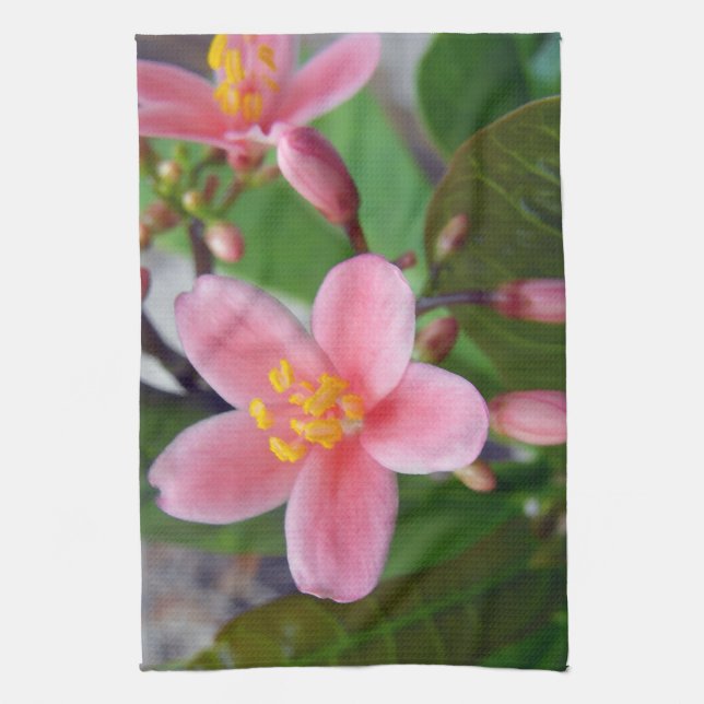 Jatropha Flower och blomknoppar Kökshandduk (Vertikal)