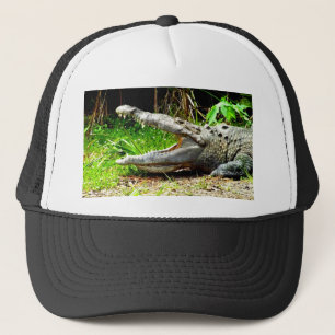 Jätte- alligator med hans öppna mun keps