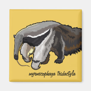 jätte- anteater magnet
