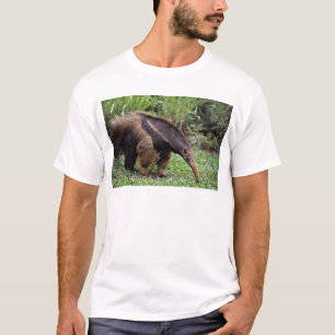 Jätte- anteater (Myrmecophagatridactylaen) T-shirt