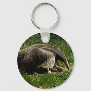 Jätte- Anteater Nyckelring