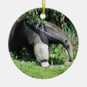 Jätte- Anteaterprydnad Julgransprydnad Keramik