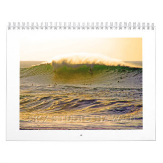 Jätte- Hawaii surfakalender Kalender