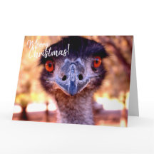 Jätte Julkort EMU från Australien