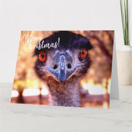 Jätte Julkort EMU från Australien Kort
