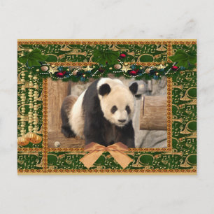Jätte- julkort för Pandabjörn- & babyPanda Helg Vykort