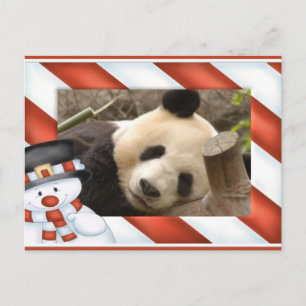 Jätte- julkort för Pandabjörn- & babyPanda Helg Vykort