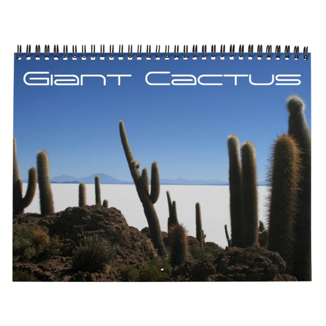 jätte kaktus 2026 kalender (Omslag)