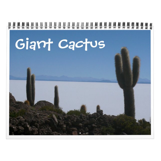 jätte kaktus 2027 kalender (Omslag)